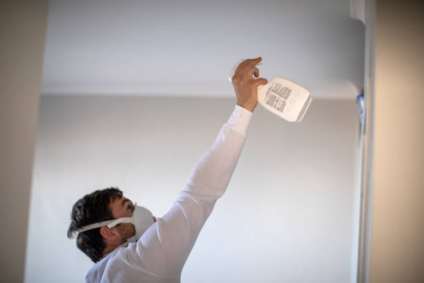 Best Attic Mold Removal  in Parsons, KS