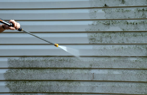 Best Local Mold Removal Service  in Parsons, KS
