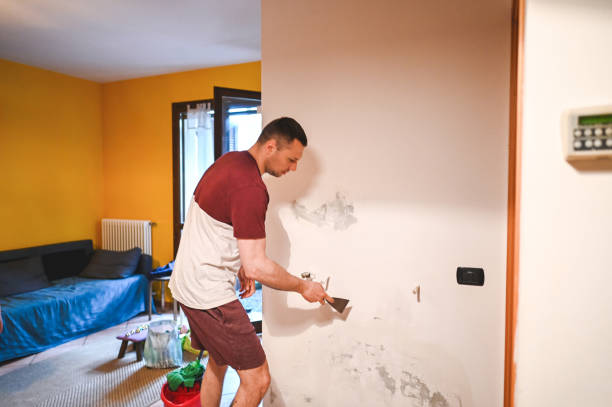 Professional Mold Removal in Parsons, KS