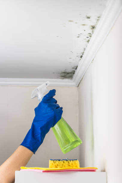 Water Damage Restoration in Parsons, KS
