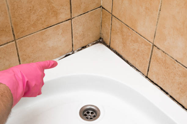Best Mold Cleaning Services  in Parsons, KS